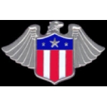 EAGLE SHIELD USA WING PIN